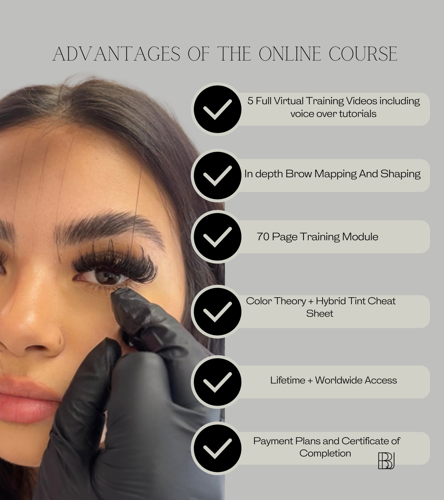 Online Course + Brow Mapping E-Book Bundle